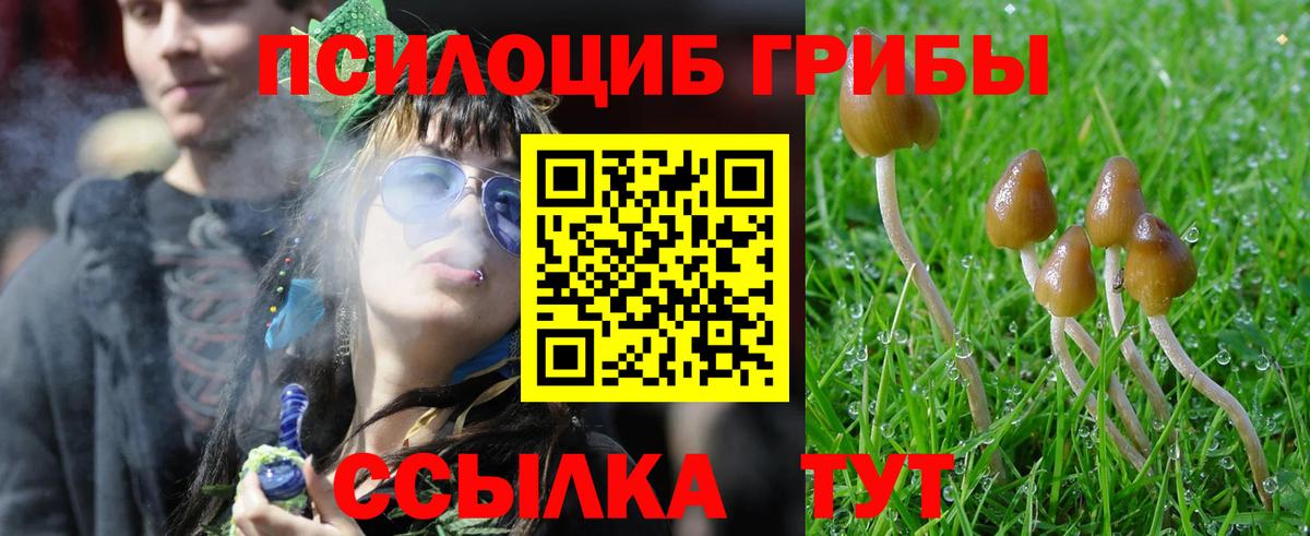Галлюциногенные грибы Cubensis  Псилоцибиновые грибы Magic Shrooms  Вход с VPN  Уссурийск 